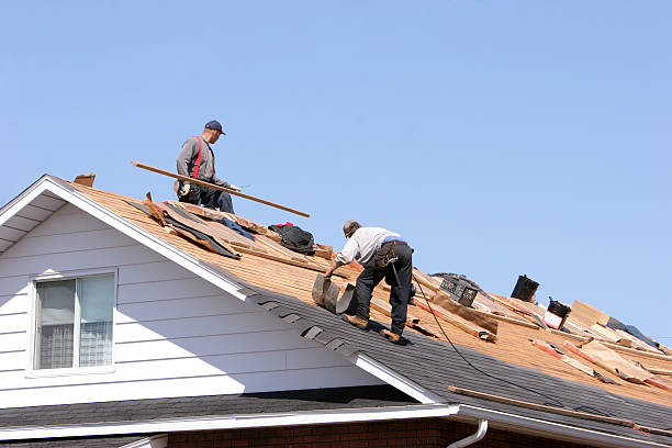 Best Roofing for New Construction  in Seminole, FL